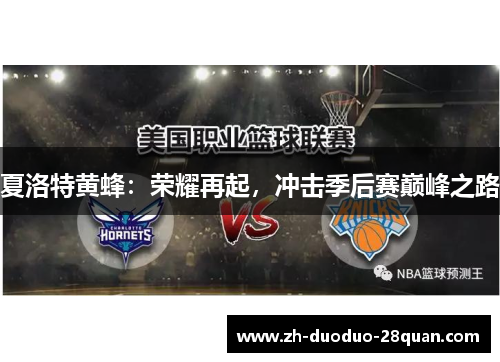 夏洛特黄蜂：荣耀再起，冲击季后赛巅峰之路